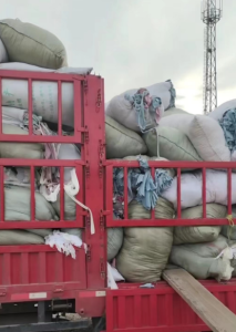 出售氨纶棉碎布料，现货够车