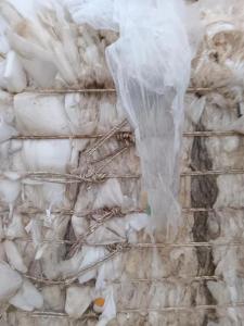 专业分拣聚乙烯料，中白膜现货一车半，水洗造粒