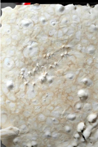 出售氨纶泡料、涤纶泡料，各种颜色泡料，拉丝料