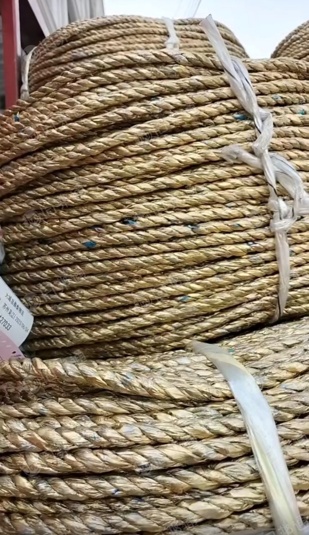 专业生产黄金绳,打包绳,大棚压膜绳,拉枝绳,蔬菜吊秧吊蔓绳