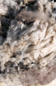 出售新疆羊毛回丝，现货5吨左右！