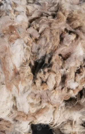 出售新疆羊毛回丝，现货5吨左右！