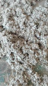 出售棉壳20吨左右，需要的联系！