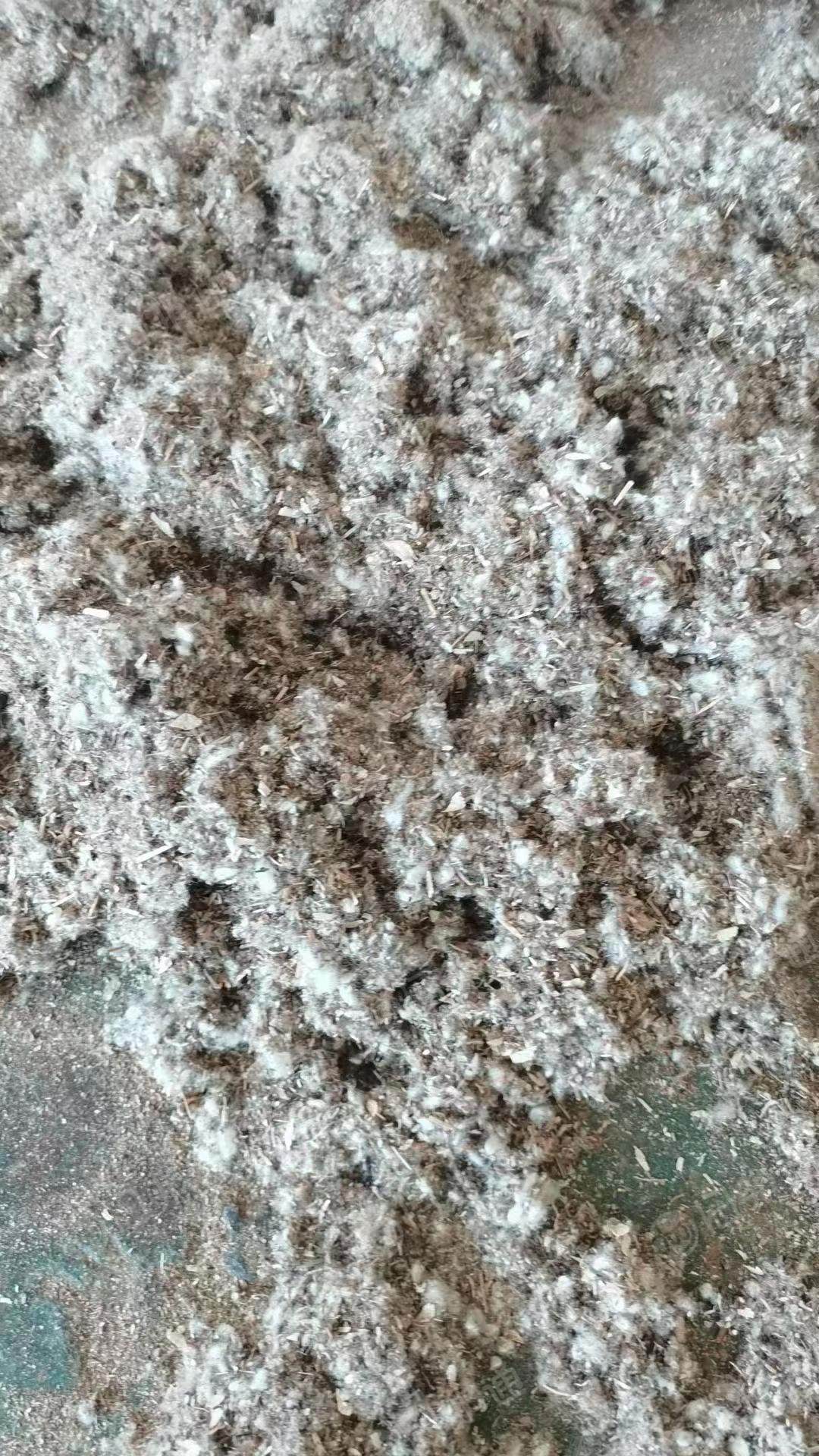出售棉壳20吨左右,需要的联系!