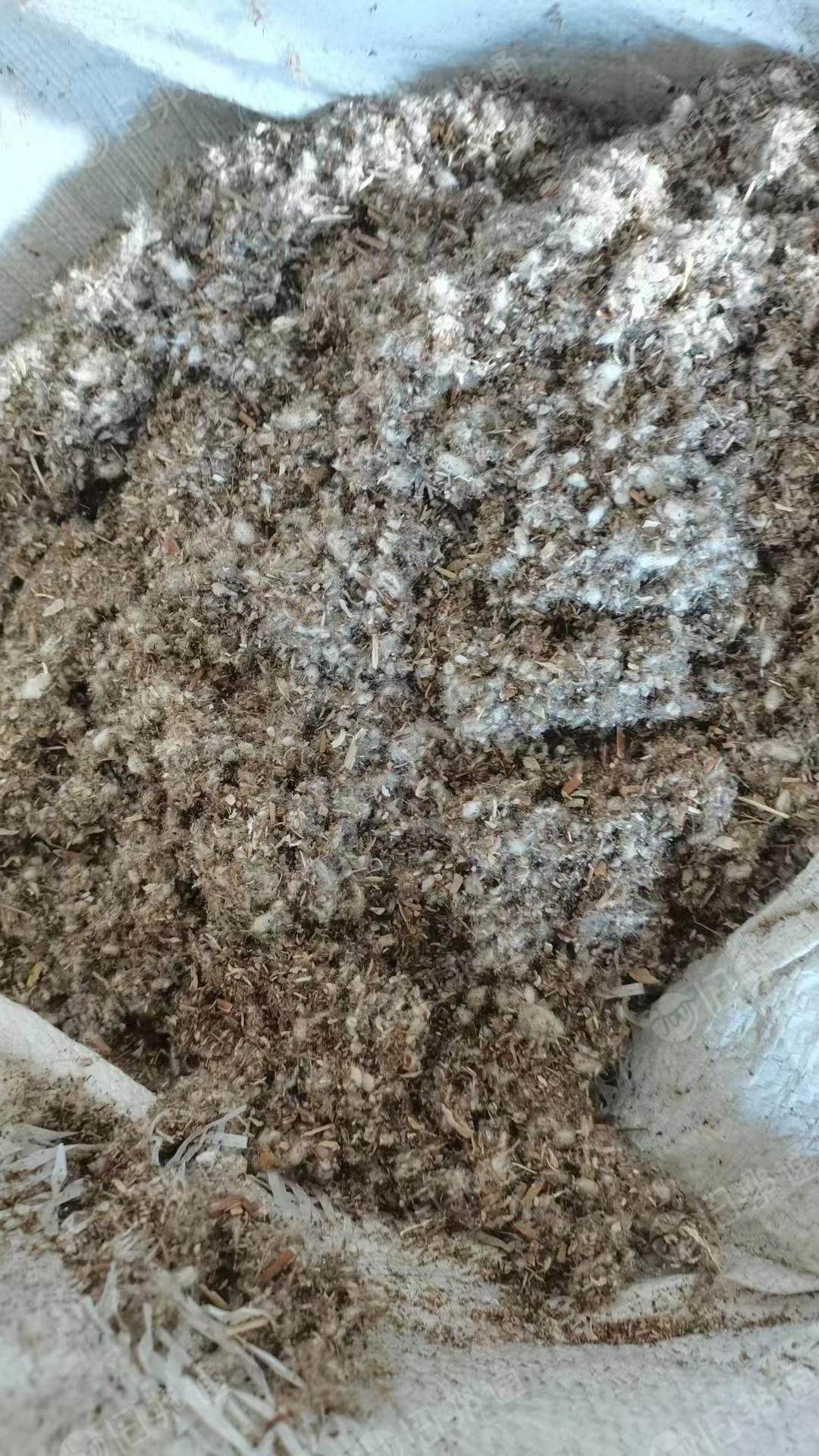 出售棉壳20吨左右,需要的联系!