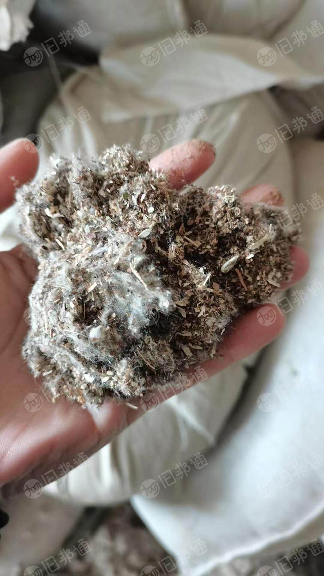 出售棉壳20吨左右,需要的联系!