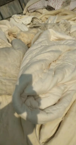 长期回收旧棉被，古棉用于开花！