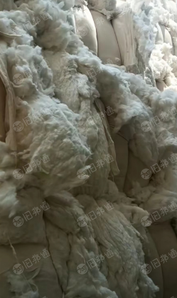 出售纯棉40车肚棉,车肚花,颜色白,纤维长度好