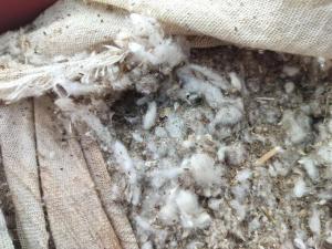 出售破籽棉9.6米一车，需要的联系