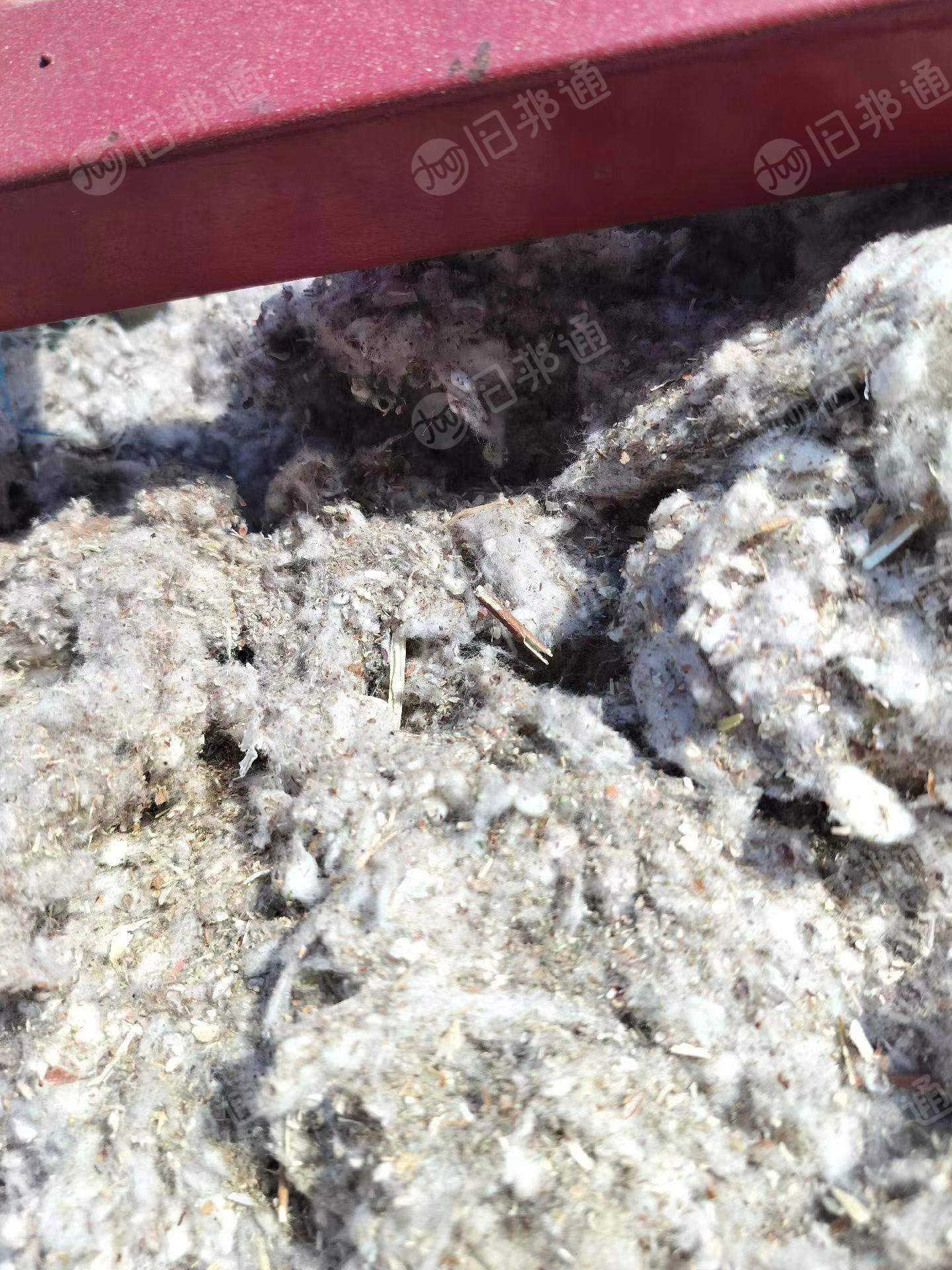 出售破籽棉9.6米一车,需要的联系