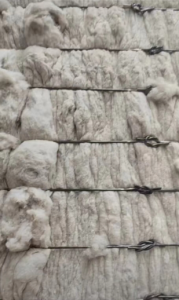 出售气流纺下脚料、环锭纺下脚料，涤棉提净棉，有光，能纺10支，14支纱