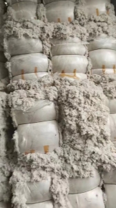 江苏徐州长期供应全棉车肚大化车肚和落棉下来车肚