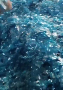 长期出售PET膜破碎料