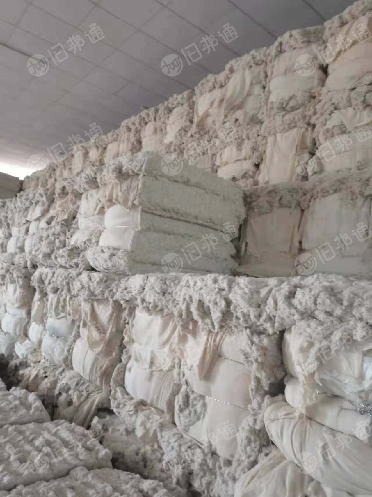 大量求购气纺车肚,要求无三丝,无荧光!