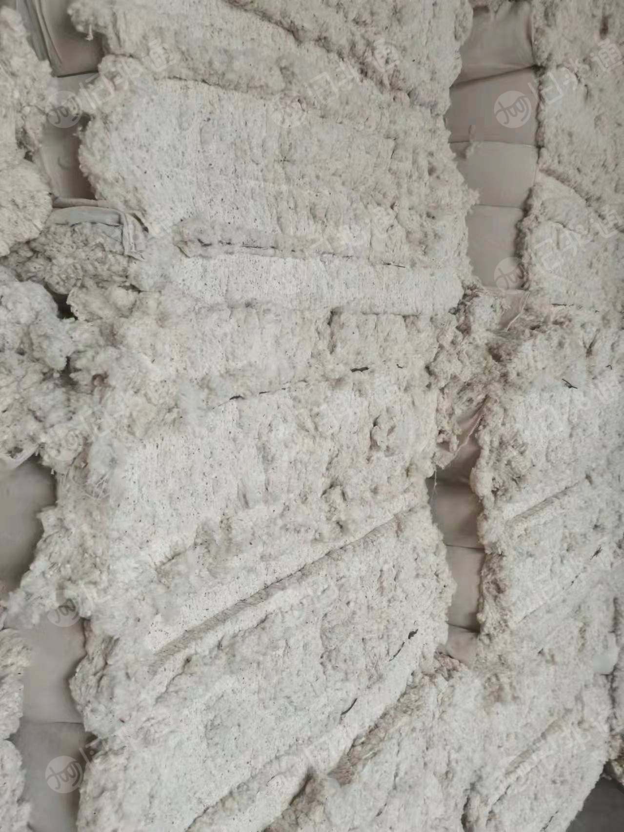 大量求购气纺车肚,要求无三丝,无荧光!