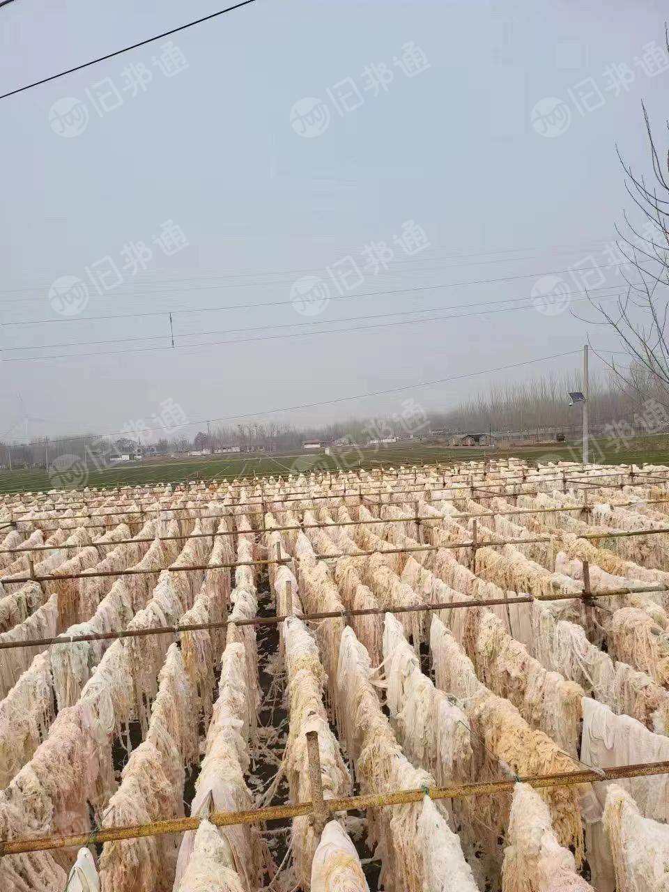 河南周口长期出售精仿布边