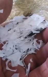 长期出售PET破碎料，全新料