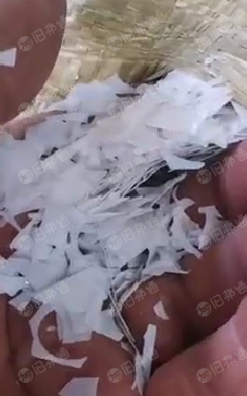 长期出售PET破碎料,全新料