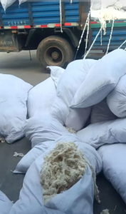 长期出售布边纱，纯棉纱、各种浆纱等