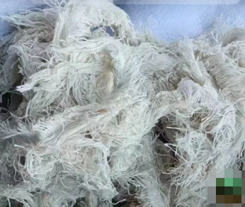 长期出售布边纱,纯棉纱、各种浆纱等