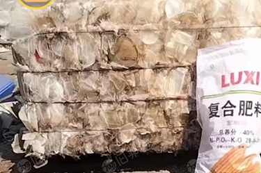 长期出售透明丙压块透明PP压块PP透明压块