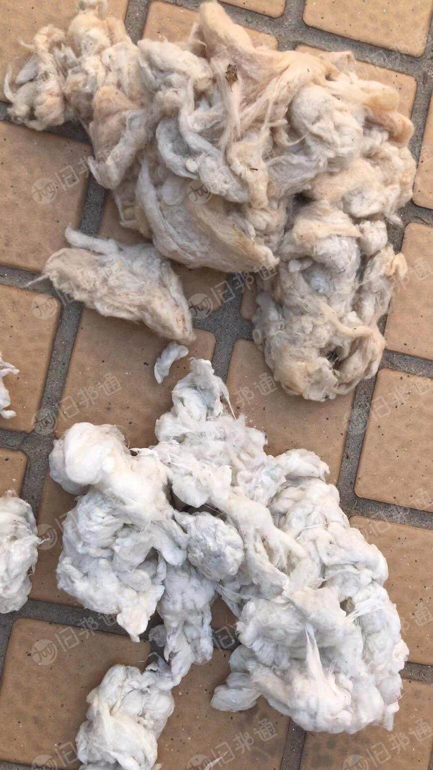 长期供应增白古棉,可以用的联系!