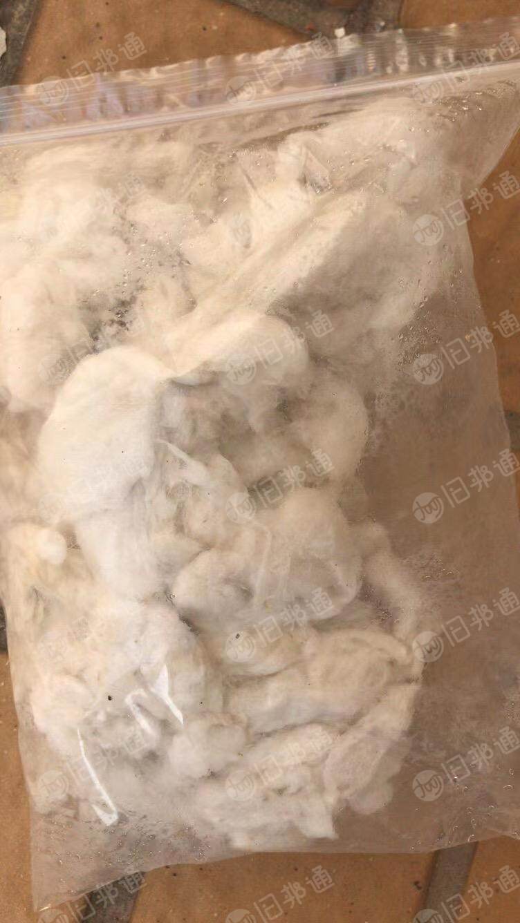 长期供应增白古棉，可以用的联系！