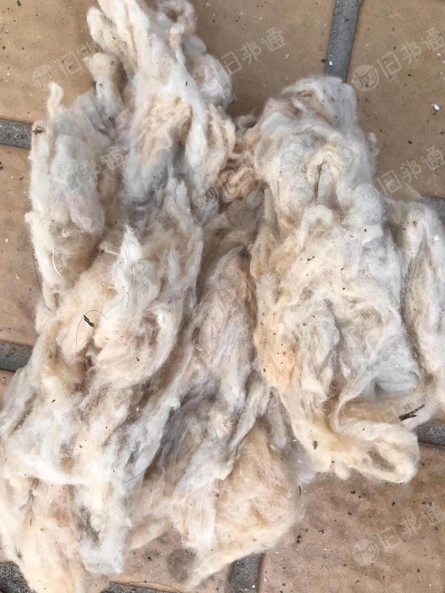 长期供应增白古棉,可以用的联系!