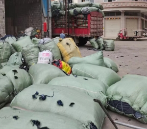 广西玉林长期回收各种服装厂边角料，碎布！