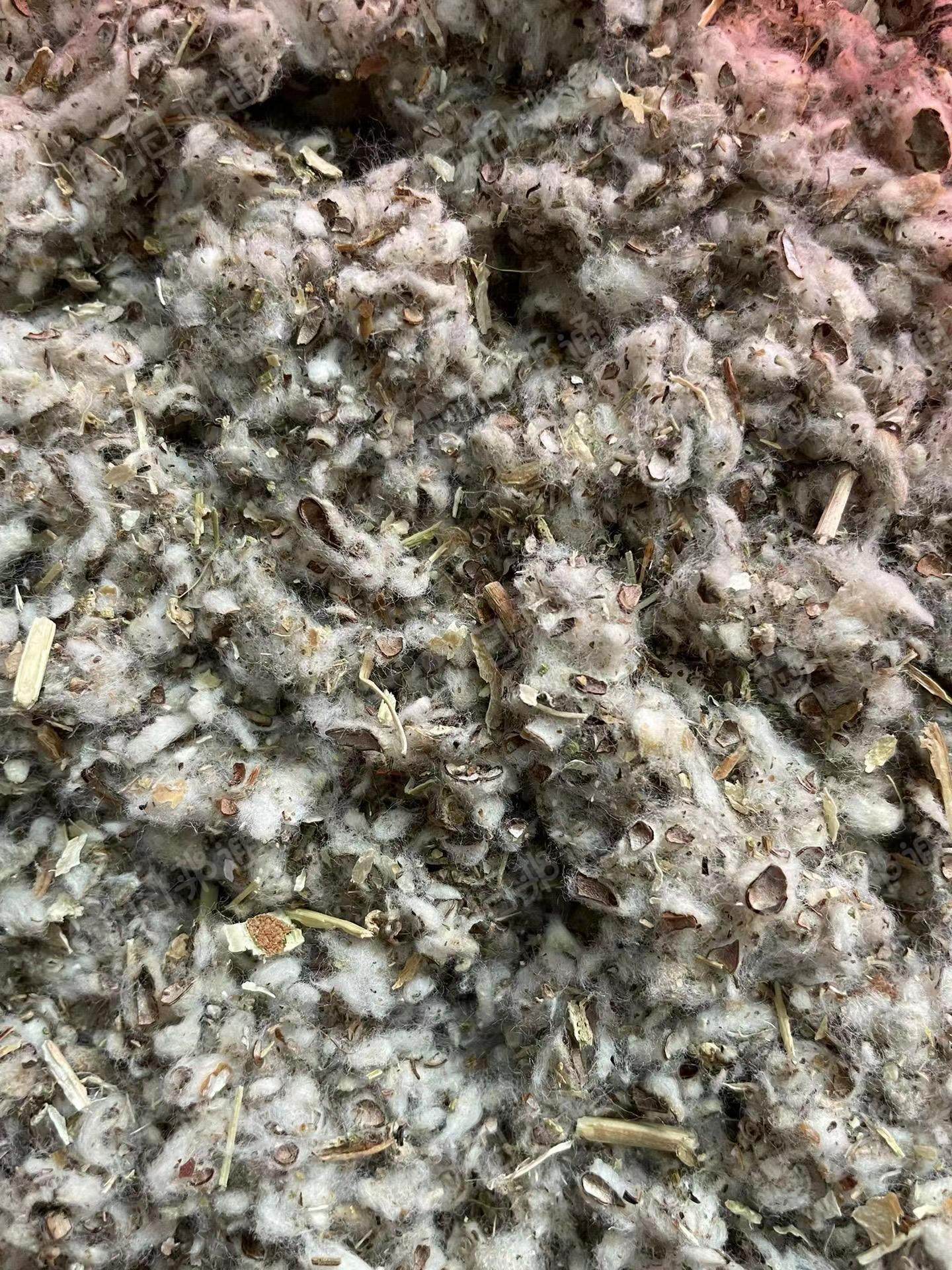 出售新疆不孕籽出的优质棉渣!