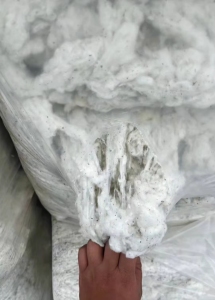 本公司常年收购纺织原料精梳落棉，车肚，破籽，回丝等