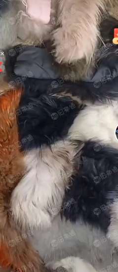 长期出售旧毛领毛条,各种皮草衣服,皮衣