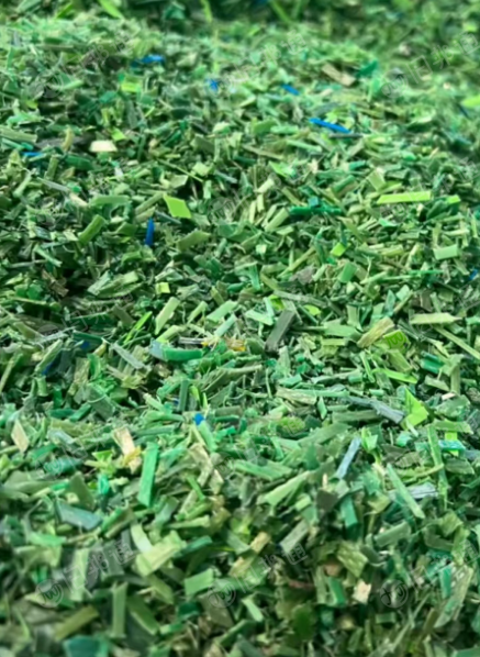 长期出售PET打包带破碎料,水粉的