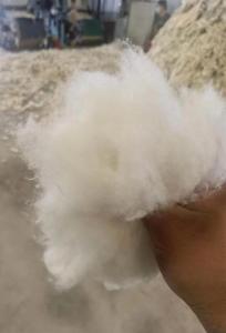 长期供应水洗牛仔褪色85棉，95棉开松棉!