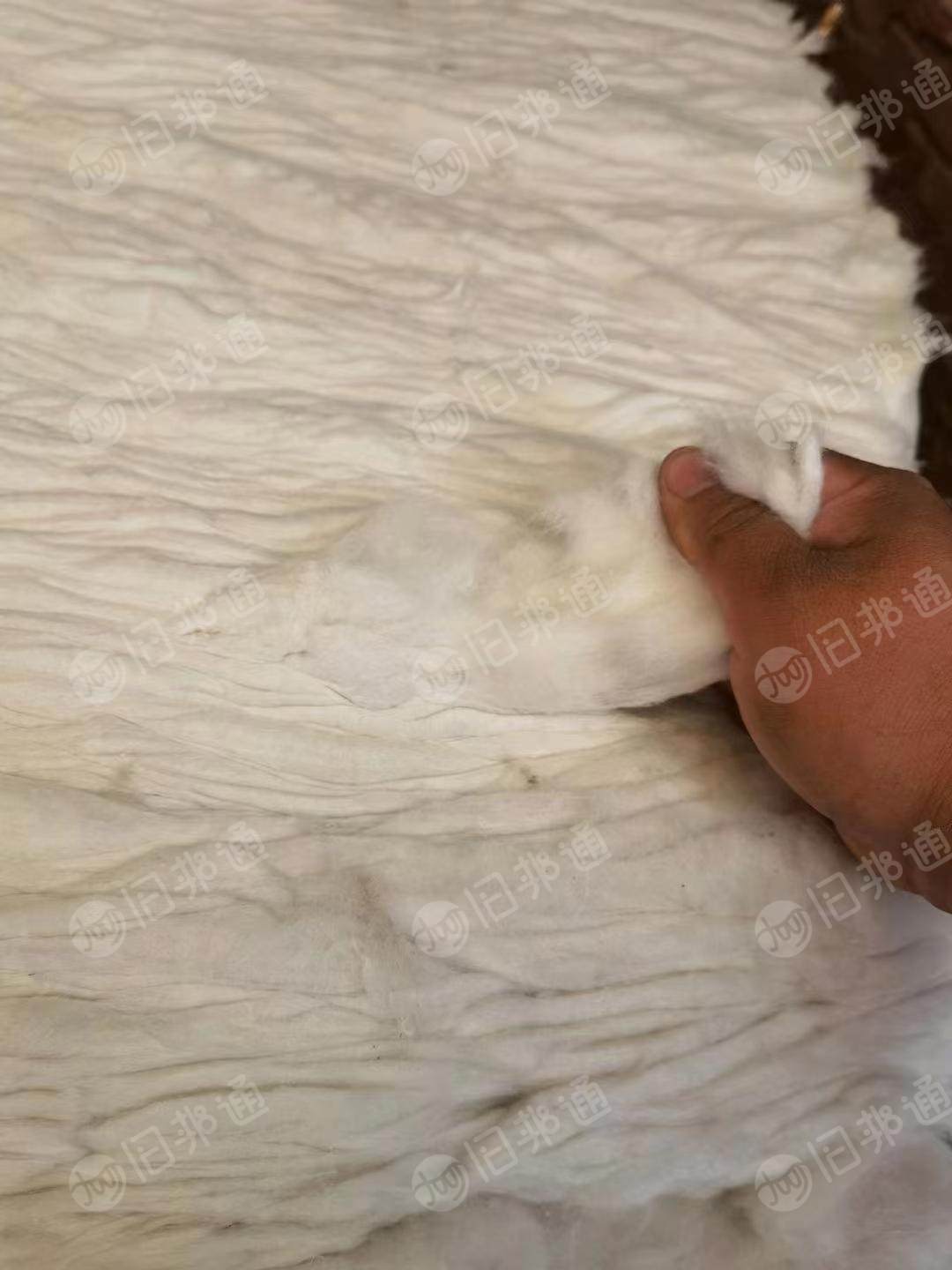 长期供应水洗牛仔褪色85棉,95棉开松棉!