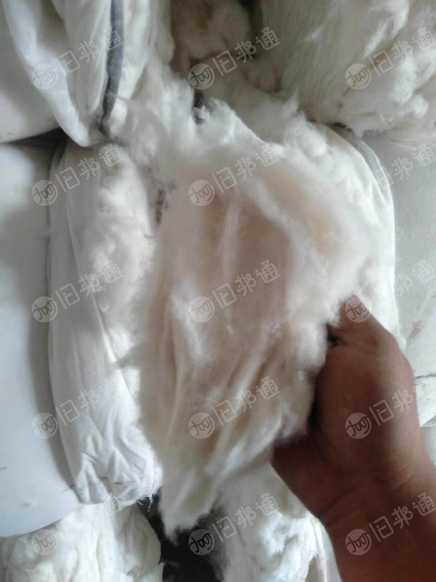 山东菏泽长期出售优质85棉95棉,用的上的欢迎联系