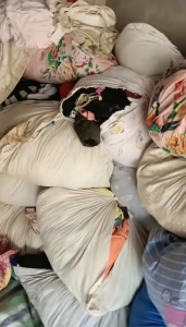 河南商丘长期供应旧衣服小区货