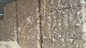 长期出售进口牛卡纸边角料，大量现货