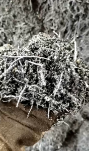 长期大量求购铁屑，油屑废料，不含其他杂质