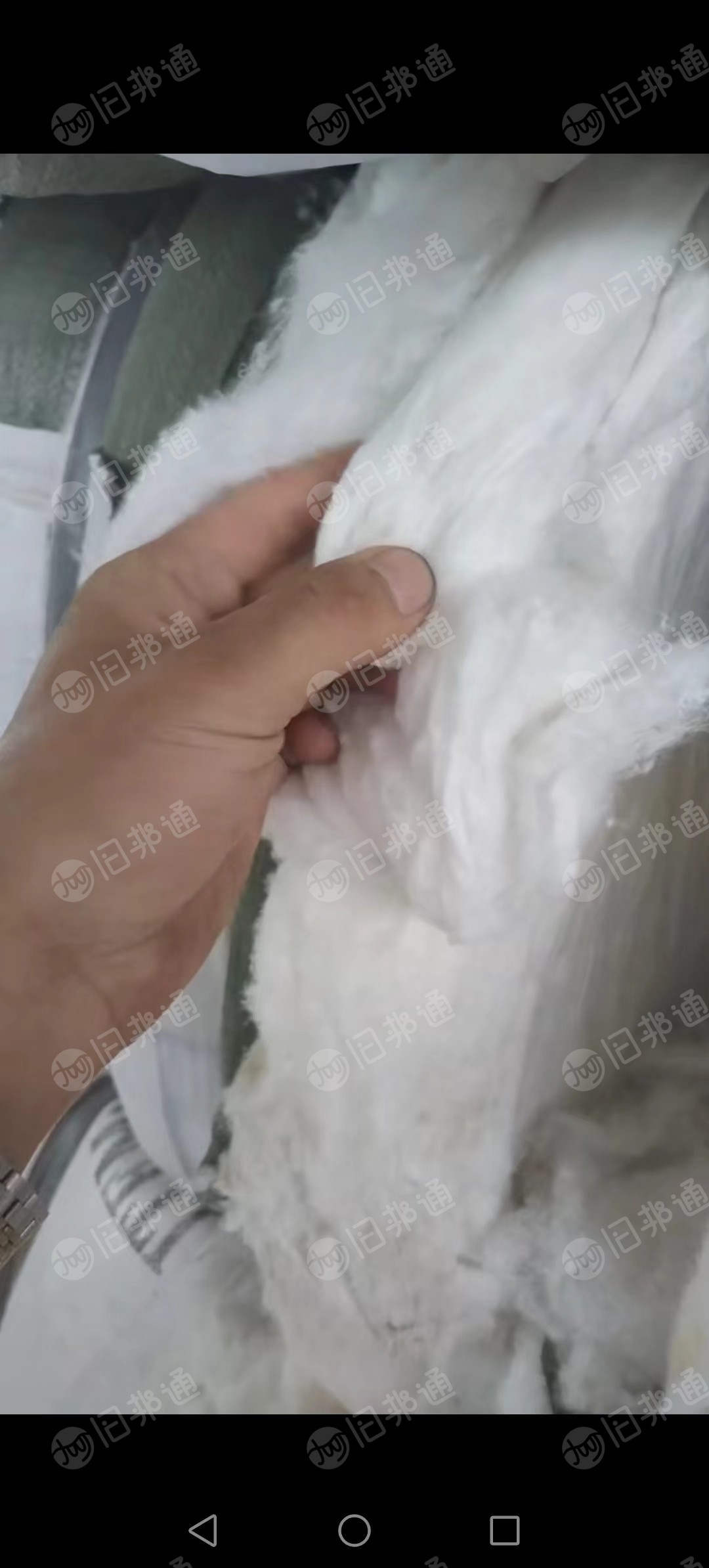 出售二白棉,再生棉,开花棉