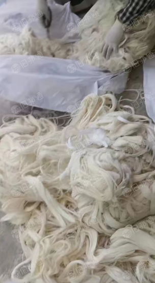 长期出售精仿全棉浆纱,回丝,布边纱,浆纱