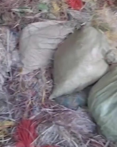 长期收购PP打包带毛料