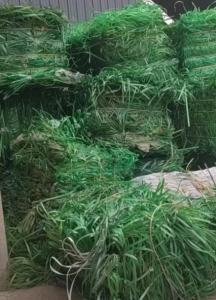 长期收购PET打包带毛料，聚酯打包带毛料