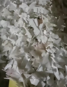 长期收购娃哈哈瓷白壶上机料