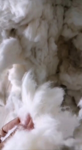 长期出售精品落地棉，现货够车！