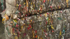 常年收购油壶，绿瓶砖，乳白瓶砖，杂色聚酯瓶砖