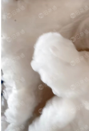 长期出售白色涤纶开花棉,高弹丝开花棉,白色开花棉,适用土工布,无纺布,针刺棉等