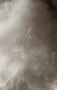 长期出售牛仔布块开松棉，85棉，95棉，灯照棉