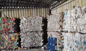 大量出售白乙压块，花乙压块，大小白压块