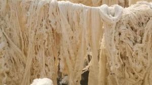 山东菏泽大量求购优质兰浆纱